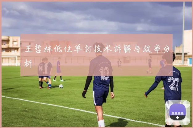 王哲林低位单打技术拆解与效率分析