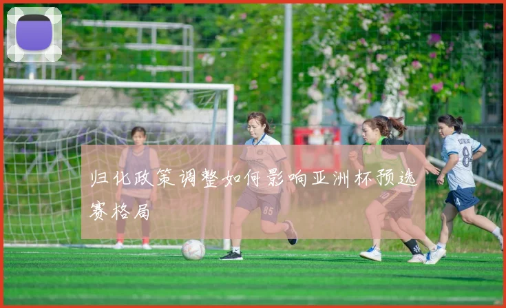 归化政策调整如何影响亚洲杯预选赛格局