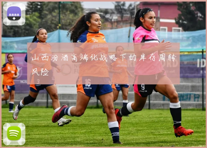山西汾酒高端化战略下的库存周转风险