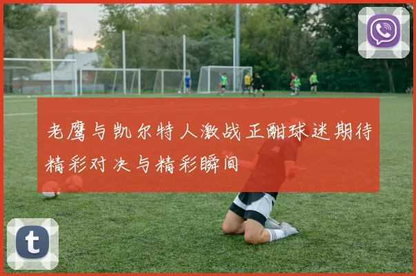 老鹰与凯尔特人激战正酣球迷期待精彩对决与精彩瞬间