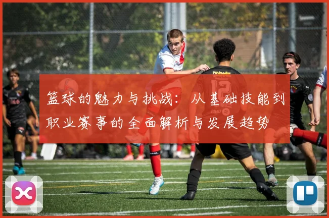 篮球的魅力与挑战：从基础技能到职业赛事的全面解析与发展趋势