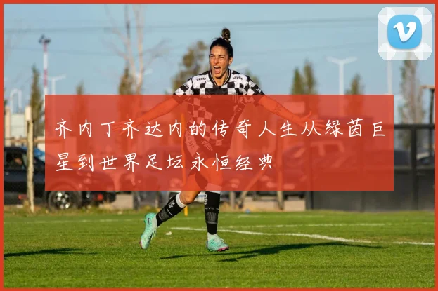 齐内丁齐达内的传奇人生从绿茵巨星到世界足坛永恒经典