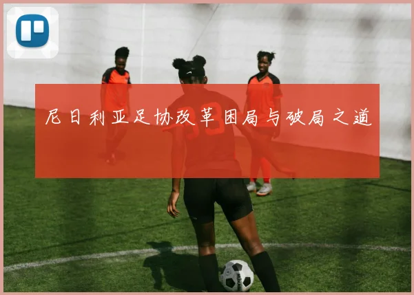 尼日利亚足协改革困局与破局之道
